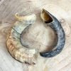 Lamb horns